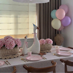 Kit de Decoración para Fiesta - Silly Goose